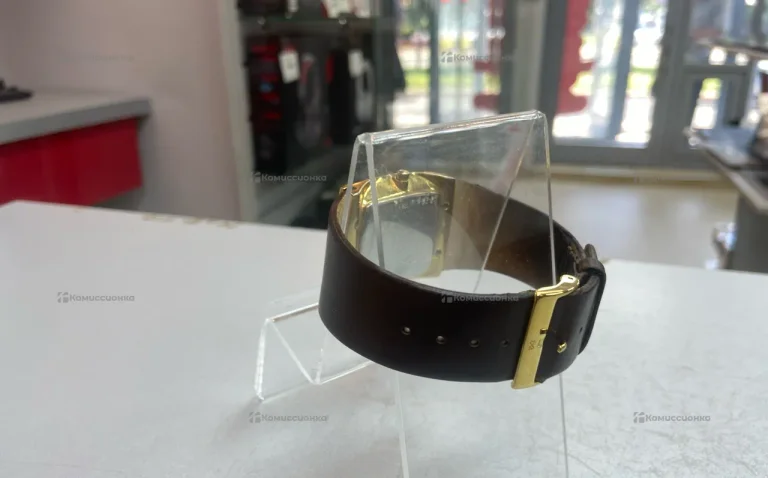 Часы  SKAGEN