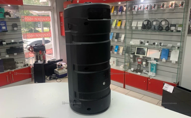 Колонка ZQS4248