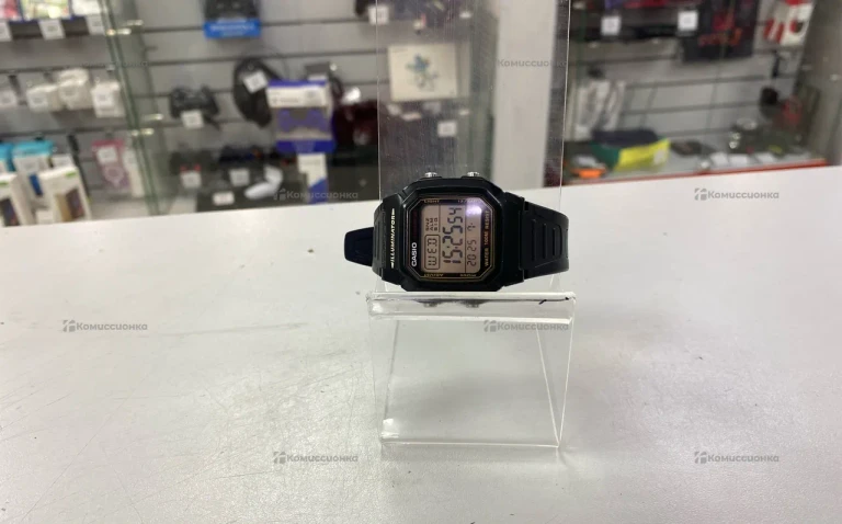 Часы  Casio WE 100M W800H