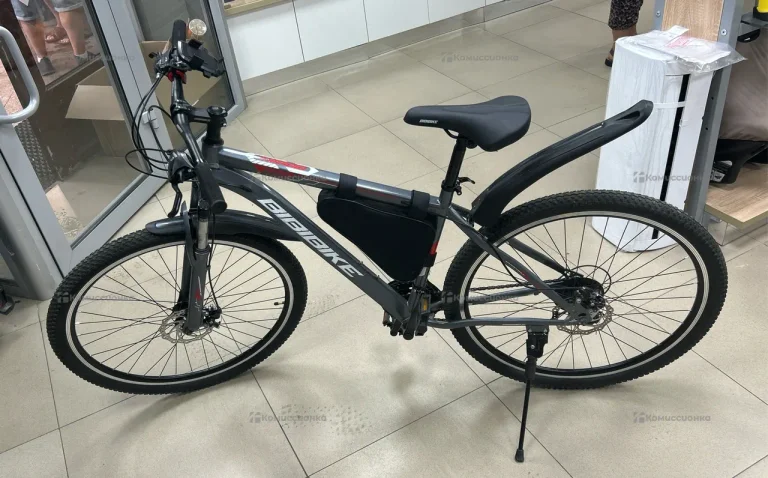 Велосипед Bibibike X60