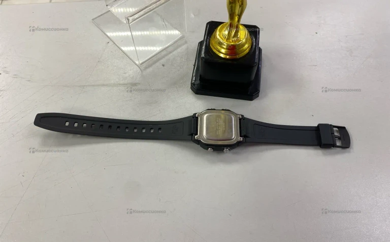 Часы  Casio WE 100M W800H