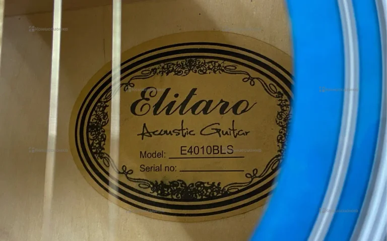 Акустическая гитара Elitaro E4010BLS