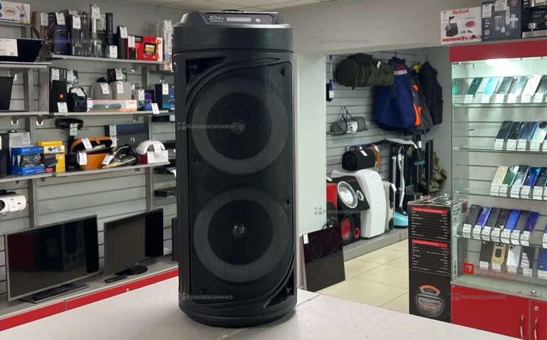 Колонка  Sing-e ZQS6212