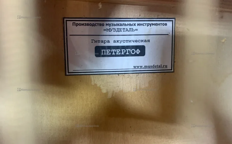 Гитара Муздеталь Петергоф