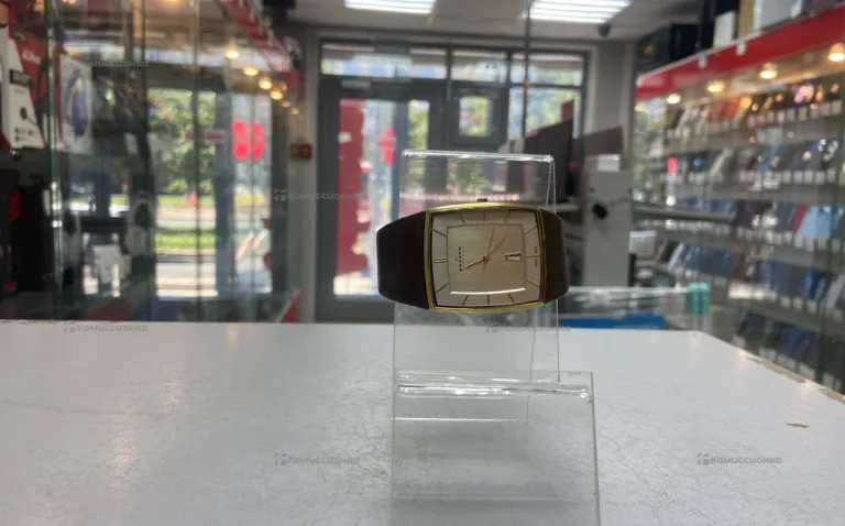 Часы  SKAGEN